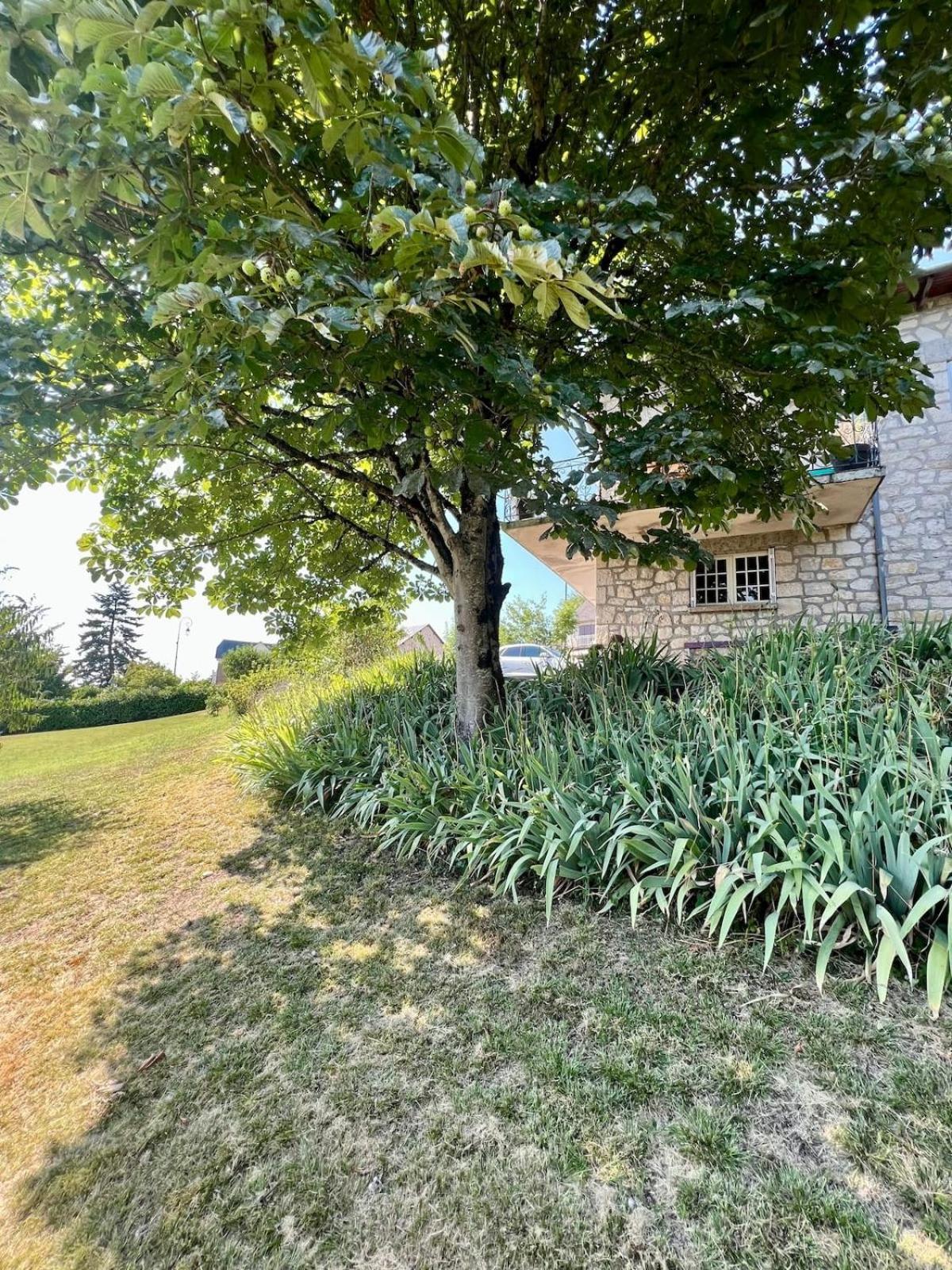 Villa La Baronnie - 11 Pers - Proche Brive -Jardin Ussac Luaran gambar